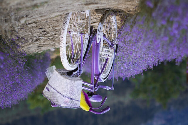 In this example, we perform a 180-degree rotation of an image of a bicycle in a lavender field. As a result of this rotation, the image is turned upside down, creating a world that's flipped on its head. (Source: Pexels.)