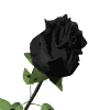 This example base64-encodes a GIF animation of a rose. Then prepends the Data URL prefix to the resulting base64 and adds a new line after every 16 characters.