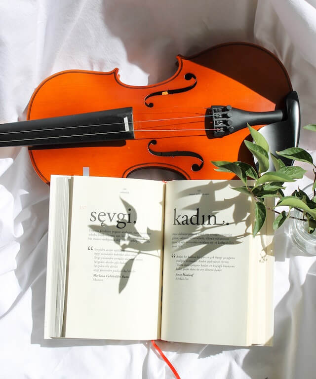 This example generates binary art from an image of a violin with a book. It applies the Sierra dithering effect, using white color for the background and orange-red color for the dots that form the objects. (Source: Pexels.)