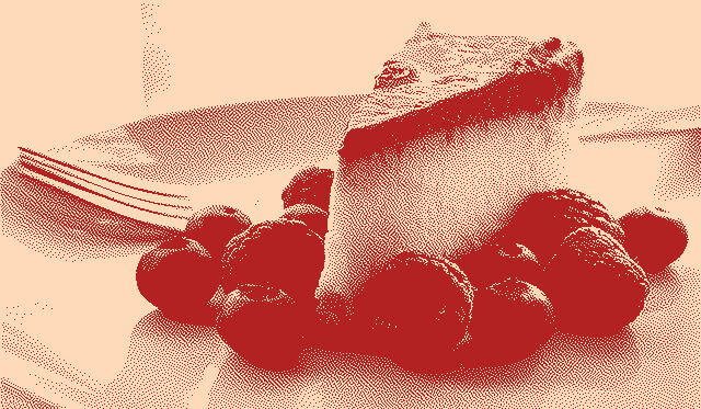 In this example, we create a two-color image of a delicious cheesecake using custom colors. We activate the Atkinson dithering method and use PeachPuff color for the background and FireBrick color for displaying the dotted details. (Source: Pexels.)