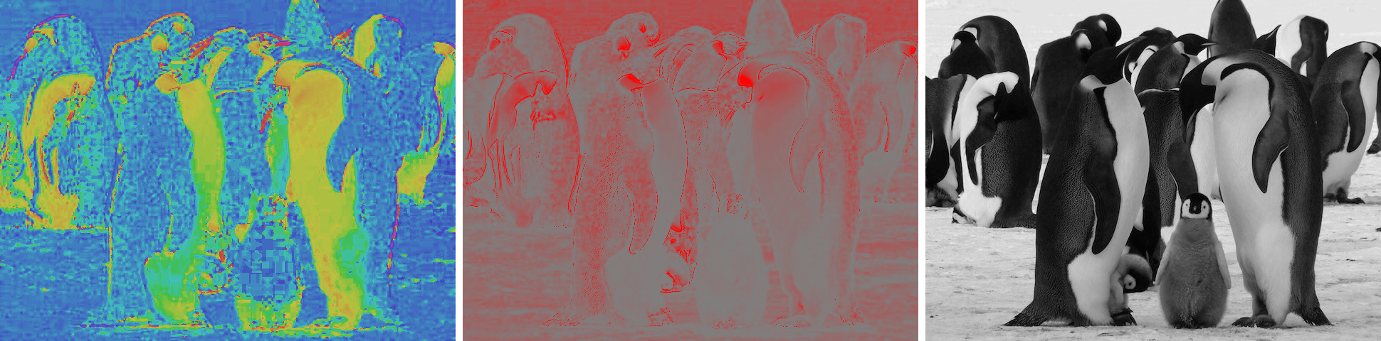 This example separates an image of an adorable penguin family into the Hue, Saturation, and Lightness channels. The Hue channel reveals that the penguins' bellies and necks consist of yellow-green hues, while their backs exhibit blue tones. The Saturation channel indicates that the highest saturation is found in the penguins' cheeks. The Lightness channel shows the extent to which the lighter areas of the bellies differ from the darker areas of their backs. (Source: Pexels.)