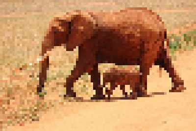This example pixelates the entire image of a parent elephant and a baby elephant with a pixel size of 5 pixels. It leaves the position and size parameters of the pixelation area empty, making the program to set the position values to zero and the width and height to maximum values. (Source: Pexels.)