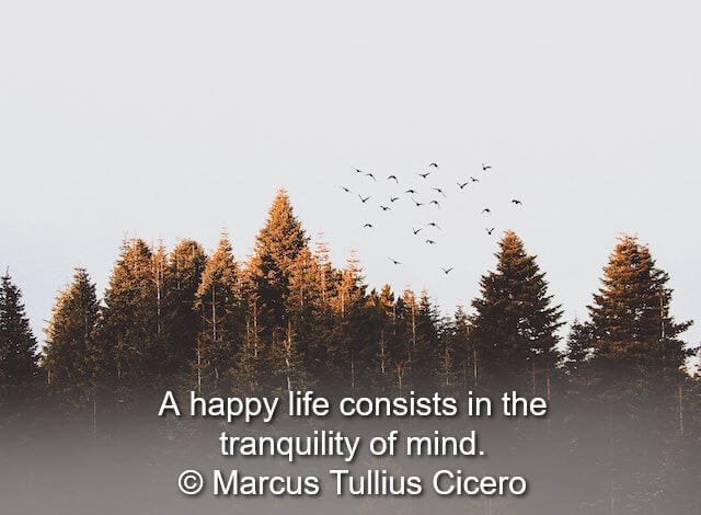 In this example, we add a profound quote by Marcus Tullius Cicero to an image of a flock of birds soaring over a pine forest. We write text in white color on a transparent background and drop a subtle shadow via the shadow-format "2px 2px 4px black". The text size is set to 30px with a line height being 36px and the font type that's used is Helvetica. It is horizontally aligned to the center and positioned at the bottom of the image. (Source: Pexels.)