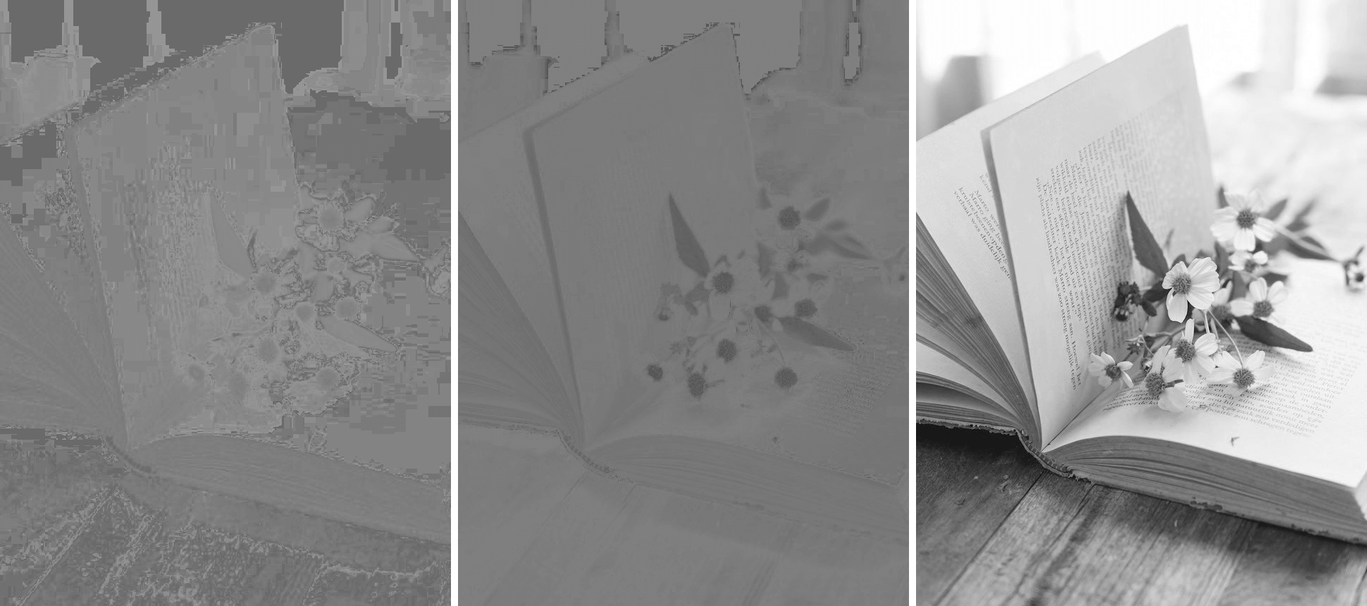 In this example, we separate the hue, saturation, and light channels from an image of book pages decorated with flowers. Then, we convert the resulting channel images into grayscale tones, allowing us to analyze the images based on their light and dark areas. (Source: Pexels.)