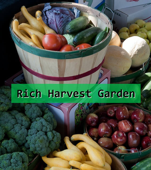 In this example, the owner of a small farm adds their brand name to an image of fruits and vegetables grown on their farm. This enables the farmer to advertise their farm and authenticate the quality of these products. For the watermark, they utilize a monospace font in black color on a green semi-transparent background with a white shadow. (Source: Pexels.)