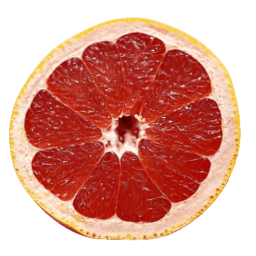 In this example, we convert a static, single-frame GIF image to a JPEG image. Since the static GIF consists of only one frame, we enter the number 1 in the frame number option. Additionally, because GIF supports transparency while JPG does not, we apply a dark orange background color to replace any transparent pixels, ensuring a fully opaque and beautiful JPEG. (Source: Pexels.)