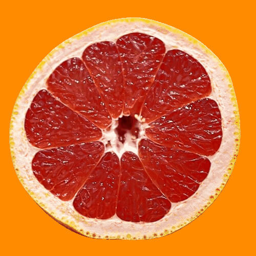 In this example, we convert a static, single-frame GIF image to a JPEG image. Since the static GIF consists of only one frame, we enter the number 1 in the frame number option. Additionally, because GIF supports transparency while JPG does not, we apply a dark orange background color to replace any transparent pixels, ensuring a fully opaque and beautiful JPEG. (Source: Pexels.)