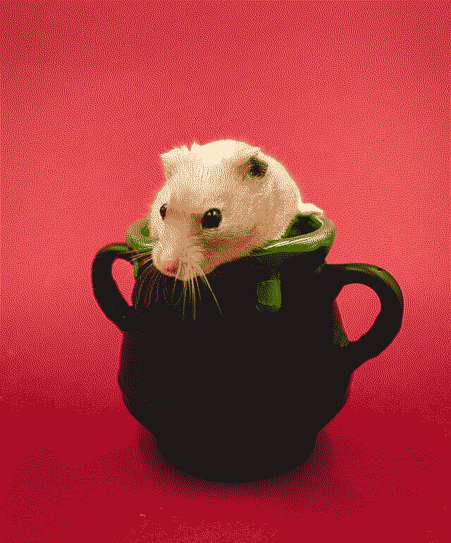 This example transforms an image of an adorable hamster in a cup into a creative artwork using the Jarvis dithering technique. The image consists of thousands of dot pixels that are assigned only six color shades. (Source: Pexels.)