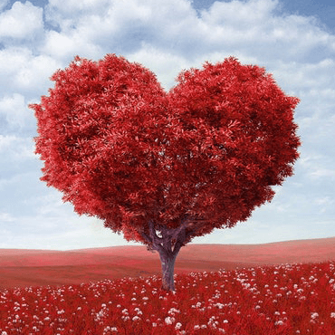 This example converts a fully opaque PNG of a heart-shaped tree that uses a full-color spectrum to a GIF without transparency. As PNG supports many times more colors than GIF, it uses a neural network quantization algorithm to convert the PNG colors to GIF colors. (Source: Pexels.)