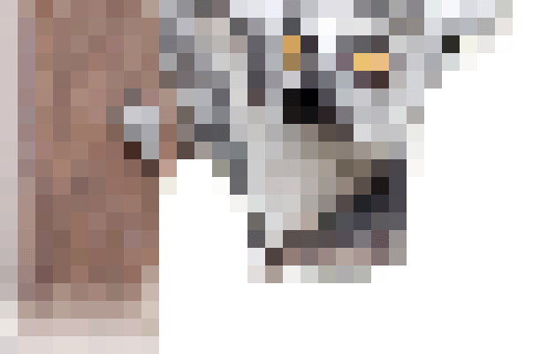 This example sorts the pixels of a lemur image with a transparent background. Because not all image formats support transparency, we use the PNG format here, which is well-suited for working with the alpha channel. The program splits the image into large pixel blocks sized 20×20 and sorts them independently in each column by the alpha channel value in increasing order. This means all opaque pixels are relocated to the top of their respective columns, partially visible pixels appear in the middle, and invisible pixels (fully transparent pixels) are moved to the bottom. (Source: Pexels.)