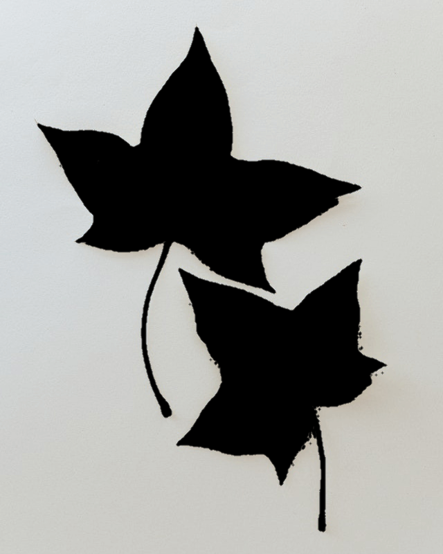 In this example, we remove all yellow-orange shades from two maple leaves, turning them into two black silhouettes. We use a large threshold of 40%, which allows us to remove a wider range of shades. We also activate smoothing with a radius of 2 pixels, which helps to get rid of yellow-orange pixels on the edges of the leaves. (Source: Pexels.)