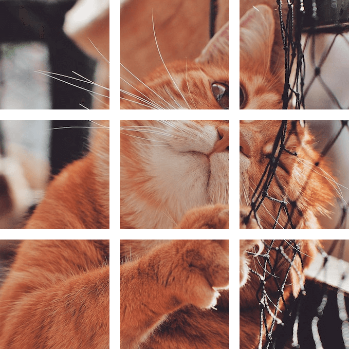 In this example, we transform a single image of an orange cat into a grid of nine rectangular pieces, all of the same size. To achieve this, we divide the image into three columns and three rows, and then spread the pieces apart by a fixed distance of 20 pixels. We set the background color to transparent, causing all nine image particles to simply float in the air at a fixed distance. (Source: Pexels.)