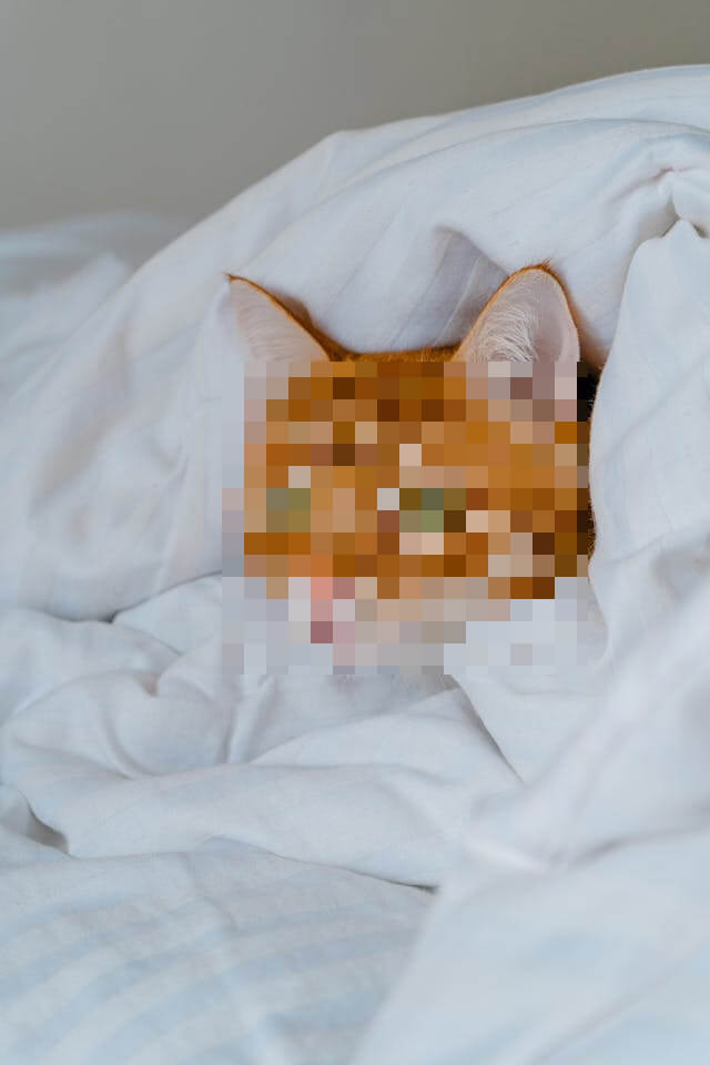 In this example, we hide the face of an orange cat peeking out from under a blanket. To not completely erase the face, but only to obscure the main features of the mischievous ginger, we use the pixelation method in a selected rectangular area. By specifying a block size of 20 pixels, we get a mask of many pixels in place of the cat's face. (Source: Pexels.)