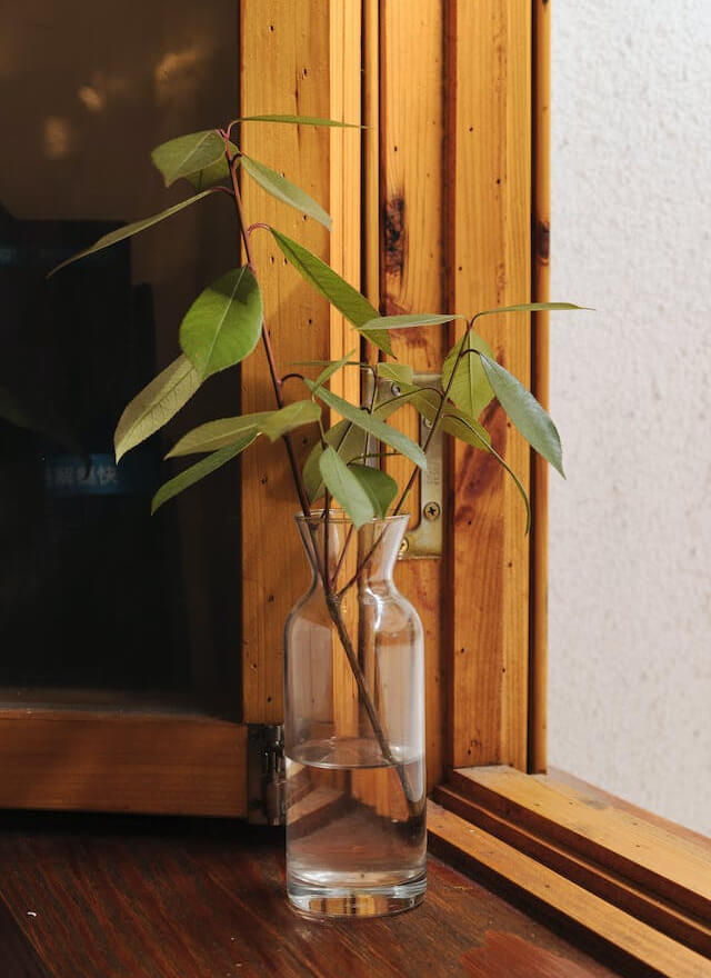 In this example, we check if the image of a plant on the windowsill is in PNG format. The image has a small file size, which raises suspicions that its format is not PNG. As expected, the result of the check shows that the format of this image is not PNG, but JPEG. (Source: Pexels.)