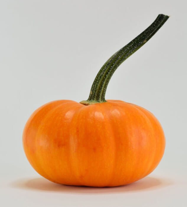 In this example, we generate a color mosaic from an image of a pumpkin using very large tiles sized 50 pixels. Each element of the mosaic contains the average color of 2500 pixels, giving the image a pixelated look. The tiles have a 1-pixel gray border and are spaced 5 pixels apart. The spacing between them is filled with the white color. Additionally, there is a 50-pixel padding around the mosaic, colored in the dark orange color. (Source: Pexels.)