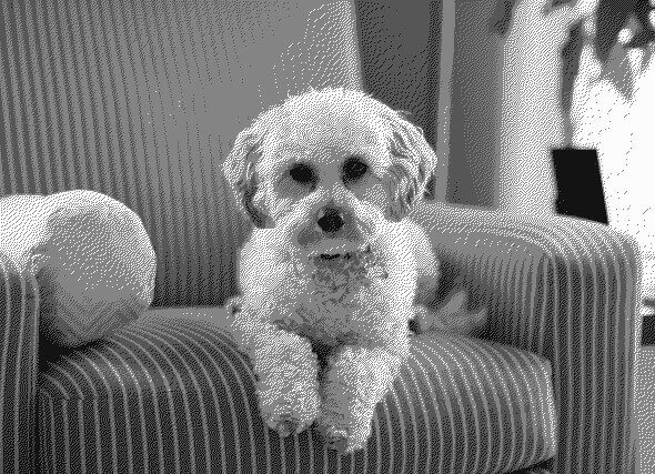 In this example, we take a colorful contemporary photograph of a dog on a sofa and convert it into a retro grayscale image with a limited color palette. We use the False Floyd Steinberg dithering method and leave only 4 colors in the image. (Source: Pexels.)