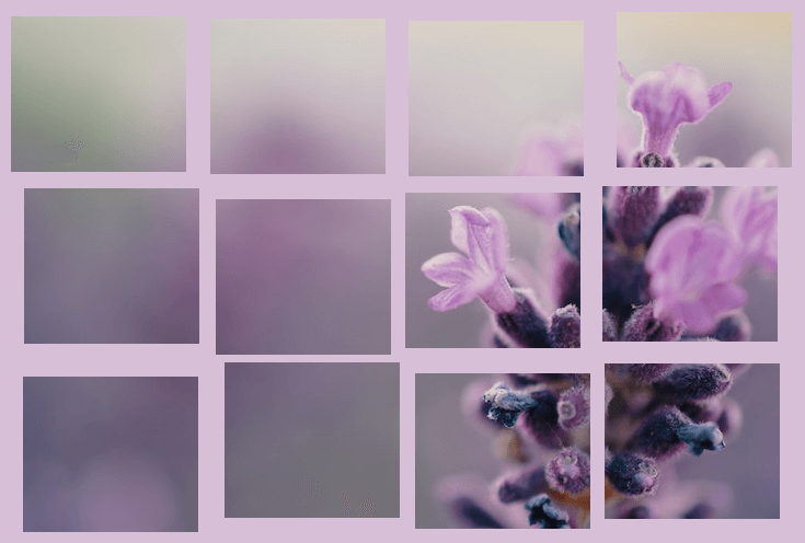 In this example, we explode the image into equal-sized pieces at various positions. We create 3 rows and 4 columns, placing the pieces at random distances ranging from 5 to 25 pixels. Additionally, we add a padding of 10 pixels around the image and fill the background with the color Thistle. (Source: Pexels.)