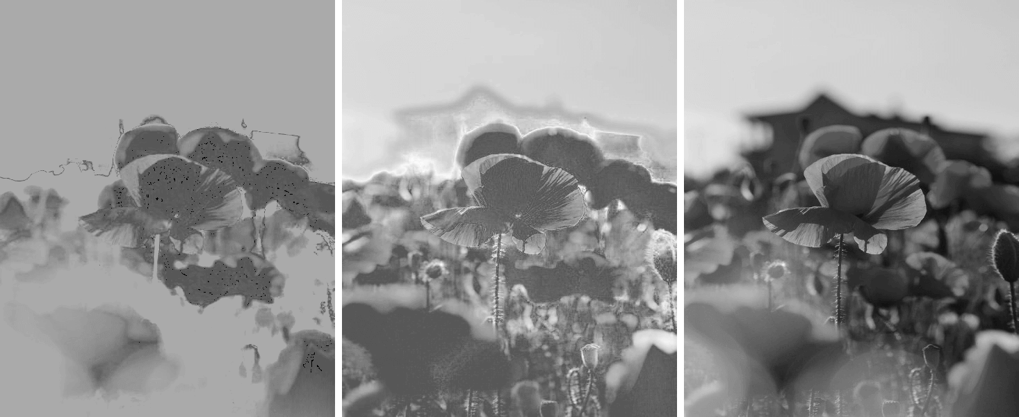 This example activates the "Create a Monochrome HSI" option for an image of red poppies. The program first isolates all three HSI channels from the image and then converts them into grayscale, resulting in each channel having its unique monochromatic representation of the red poppies. (Source: Pexels.)