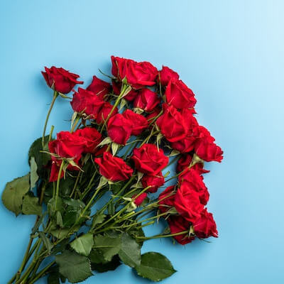 This example transforms a beautiful bouquet of red roses into a separated YCbCr color scheme with an applied grayscale filter. The grayscale filter allows us to examine the bright Cb (blue difference) and Cr (red difference) components under the same conditions and compare them in a monochromatic Y (luma) image. (Source: Pexels.)