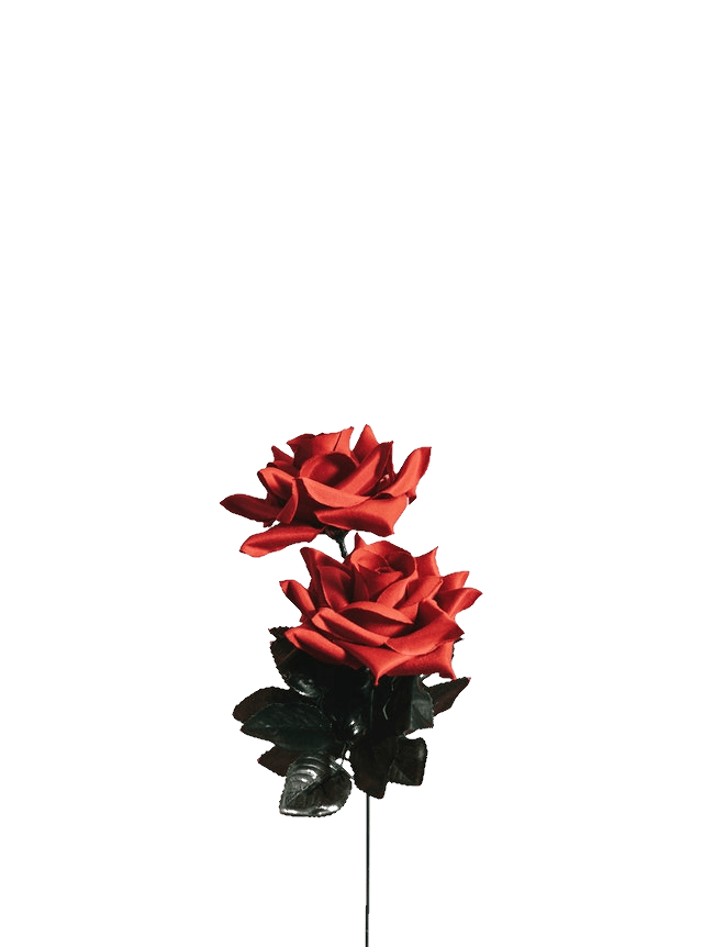 In this example, we extract red roses from the image. This is done by deleting the iron-gray color (#d7d8da) and its close tones from the image. Additionally, we smooth the pixels along the edge of transparency by using the "Make Edges Smooth" option with a radius of 1 pixel. (Source: Pexels.)
