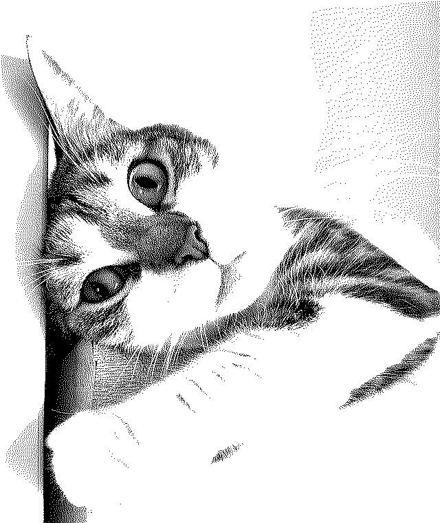 In this example, we manually configure the colors of the duotone image, setting them to white and black. Additionally, we apply the dithering effect using the Burkes method, resulting in a highly defined and detailed two-color image of a tabby kitten. (Source: Pexels.)