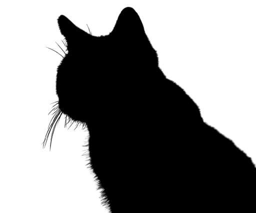 In this example, we create a unique stencil from the image of our beloved cat. We use the black color for the cat's pixels and white for the surrounding area. The resulting stencil has a crisp outline, highlighting the cat's whiskers and ears. (Source: Pexels.)