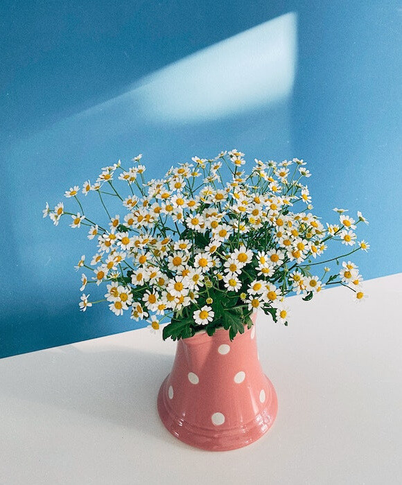 In this example, we isolate the hue component from the image in the HSL color space. The hue channel reveals which specific colors are used to represent all the objects in the image. In particular, it's now easy to see that the daisies use yellow and orange hues, the vase appears in red, the wall is in blue, and the table exhibits warm orange tones in some areas and cool blue tones in others. (Source: Pexels.)