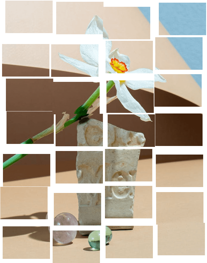 This example segments the image of a white narcissus into pieces that can overlap each other. It creates a grid of 28 pieces, allowing for a variable distance between them ranging from -10 (overlapping) to +20. All pieces have the same size but random positions. (Source: Pexels.)