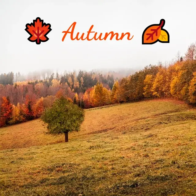 In this example, we add text with emojis to a WebP picture of an autumn landscape. We use a custom font loaded from Google Fonts to create an "Autumn" inscription on the WebP in a beautiful cursive style. We also add two bright autumn leaf emojis to accentuate the autumn atmosphere. (Source: Pexels.)