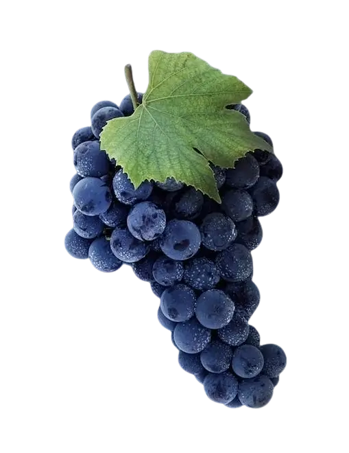 This example converts the format of the given image of grapes from WebP to GIF. At the same time, it removes all transparent WebP pixels and makes them opaque in the final GIF. It's done by turning on the "Remove Transparent Background" option and filling the background area with a solid dark blue color. This is useful if you need your GIF to display correctly on sites or apps that don't handle transparency well, such as older web forums and certain email clients. (Source: Pexels.)