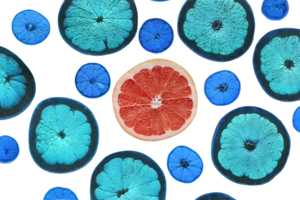 In this example, we load a WebP sticker of citrus fruits with a transparent background and apply the color inversion effect to it. We choose a circular area covering the central slice of grapefruit and activate the reverse color inversion option. This option inverts colors everywhere but the selected circle. As a result, all citrus fruits except those within the circular area become inverted and change their color from orange to blue. (Source: Pexels.)