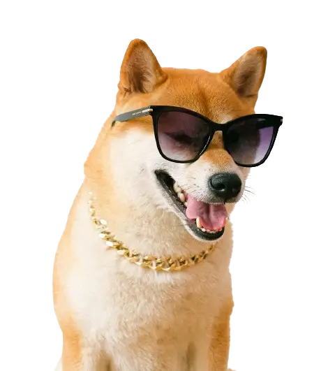 In this example, we create a bright radial gradient background for a super cool, smiling dog wearing sunglasses. The gradient consists of three colors, transitioning from "#eca1fe" to "#5271c4" to "#32269e", starting from the top right corner and spreading out with a radius of 1000 pixels. (Source: Pexels.)