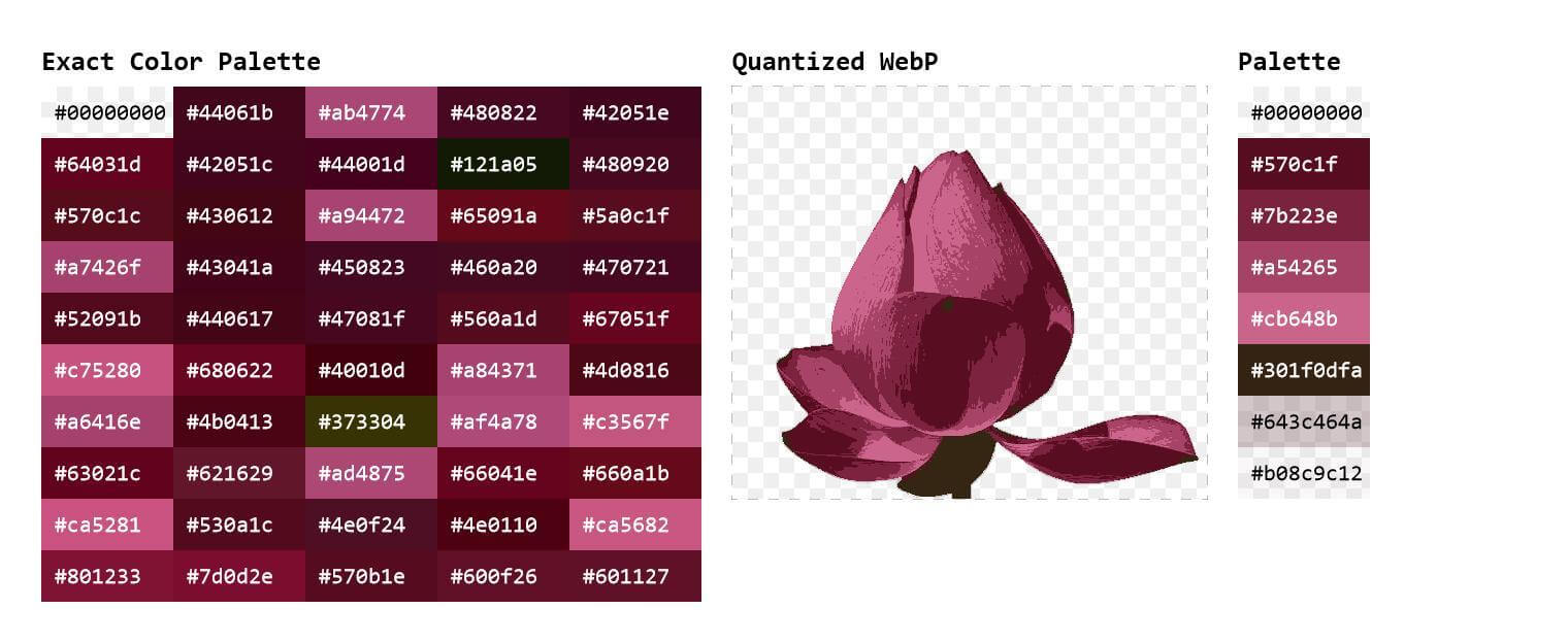 In this example, we explore the color palettes of a pink lotus sticker. We display the precise color palette that's calculated from the original WebP pixels and the quantized color palette that's calculated from the reduced-color WebP pixels. The precise color palette showcases the top 50 shades and their hex codes, and the reduced-color palette showcases the top 8 colors that most accurately capture all colors in the WebP. (Source: Pexels.)