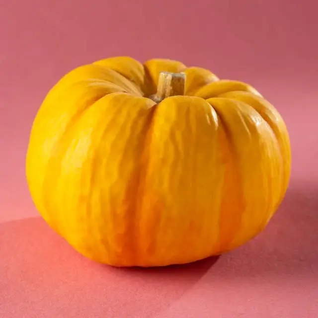 In this example, we drastically reduce the quality of a WebP photo of a pumpkin to 0%. This transformation creates a visual glitch effect, turning the WebP into an abstract and pixelated representation. The pumpkin loses all details, sharpness, and color brightness, only retaining its basic shape. (Source: Pexels.)