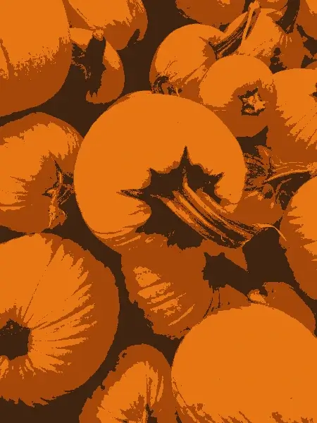 This example significantly decreases the color count in a pumpkin WebP poster, limiting the colors in the output to just three shades. The poster becomes simplified, with the bright areas colored in orange, the shadows colored in dark orange, and the dark areas between pumpkins colored in black. (Source: Pexels.)