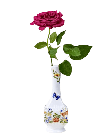 In this example, we convert a PNG sticker of a purple rose into a WebP sticker. The input sticker has a transparent background, but because both PNG and WebP formats support transparency, there are no issues during conversion. For the output WebP, we use 100% quality, keeping the highest possible WebP quality. (Source: Pexels.)