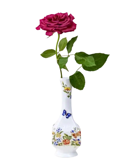 In this example, we convert a PNG sticker of a purple rose into a WebP sticker. The input sticker has a transparent background, but because both PNG and WebP formats support transparency, there are no issues during conversion. For the output WebP, we use 100% quality, keeping the highest possible WebP quality. (Source: Pexels.)