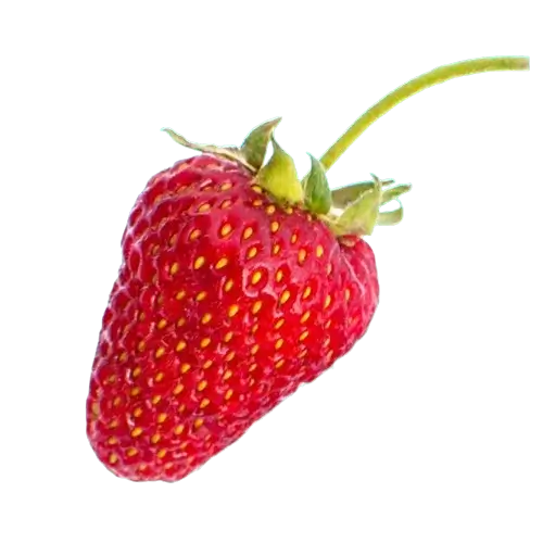 In this example, we convert a WebP sticker of a red strawberry on a transparent background into a base64 string. We enable both the line splitting and Data URI options. The base64 string is split into chunks of 64 characters per line and has a Data URI prefix with the WebP mime type, which can be embedded directly into a URL, making it easier to use the sticker in single-page web applications. (Source: Pexels.)